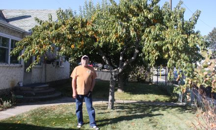GROUP OF TEENS FROM LOCAL CHURCH PERFORM GOOD SAMARITAN WORK FOR OSOYOOS FAMILY
