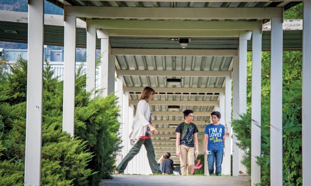 Integrated youth teams to help students