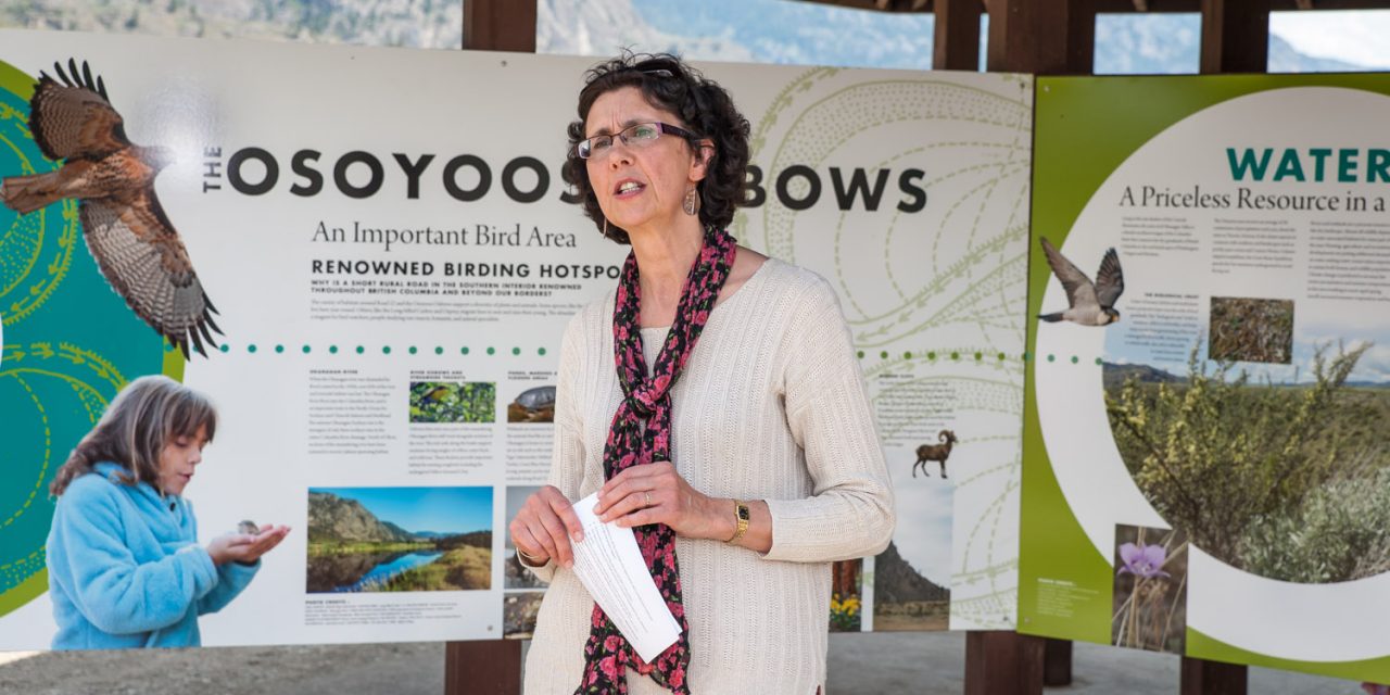 Osoyoos Oxbows facelift unveiled