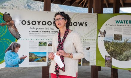 Osoyoos Oxbows facelift unveiled