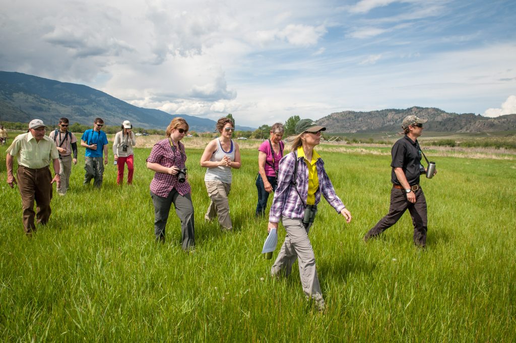 Barb Pryce, Southern Interior program manager with the Nature Conservancy of Canada, (second from right) leads a group of nature lovers through Bobalink Meadows to one of the Osoyoos Oxbows. The tour followed the official opening of new information panels at the kiosk Friday. The oxbows themselves were restored over a year ago in a joint project between the NCC and Ducks Unlimited. (Richard McGuire photo)