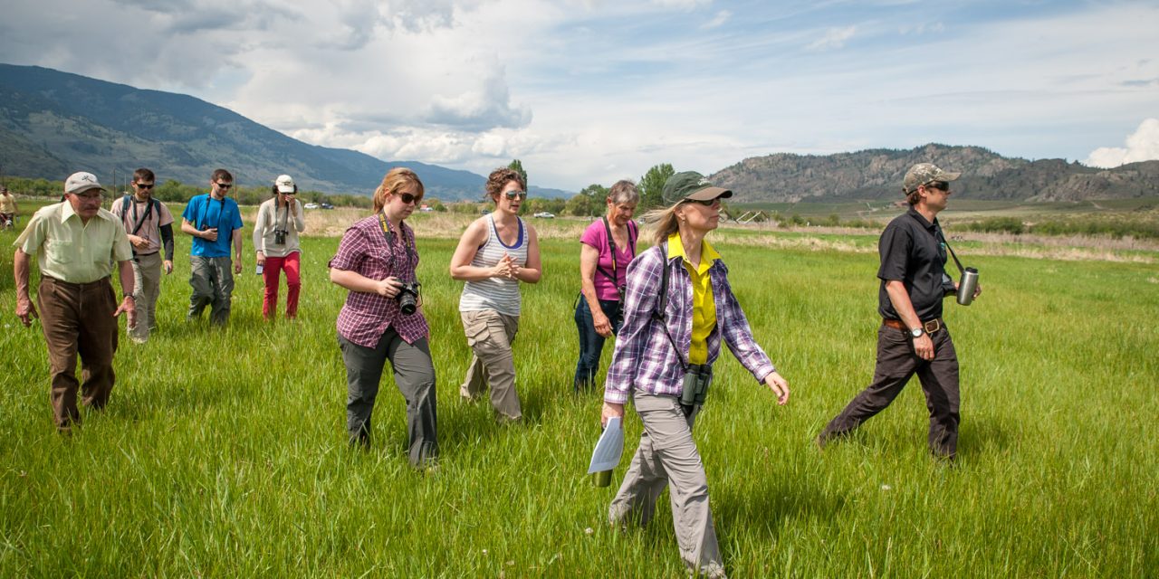 Projects enhance oxbows’ reputation as birding hot spot
