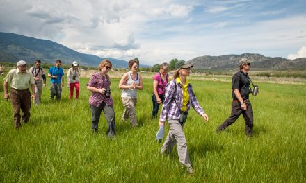 NCC reopening local lands that were closed due to fire risk