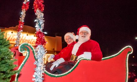 Parade draws good turnout