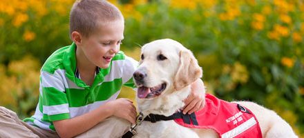 Dog walk gives Canadians new leash on life