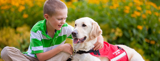 Dog walk gives Canadians new leash on life