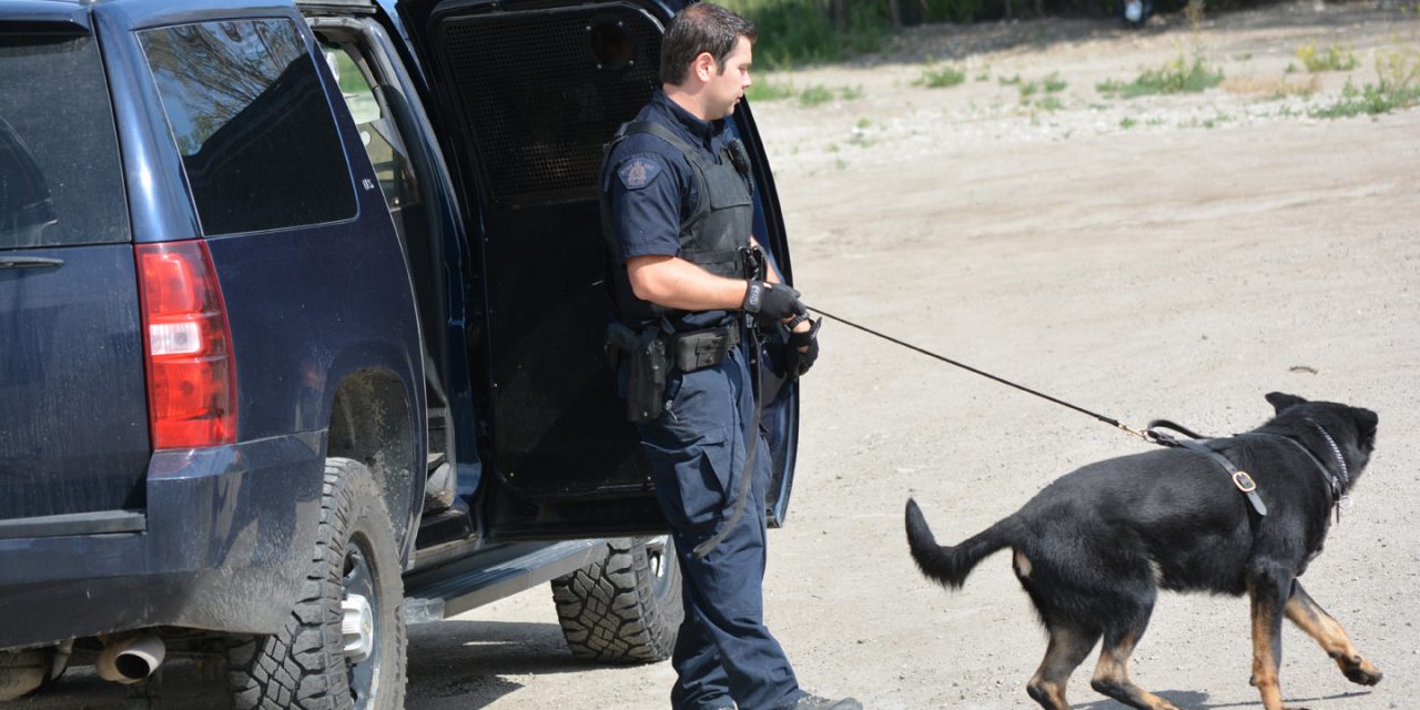Police dog sniffs out Oliver flea market