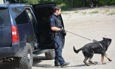 Police dog sniffs out Oliver flea market