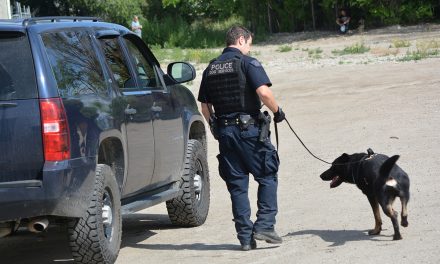 RCMP dogs track repeat offenders after break-in in Oliver