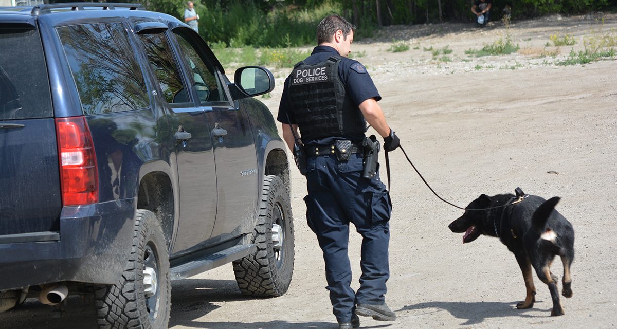 Sniffing out a crime