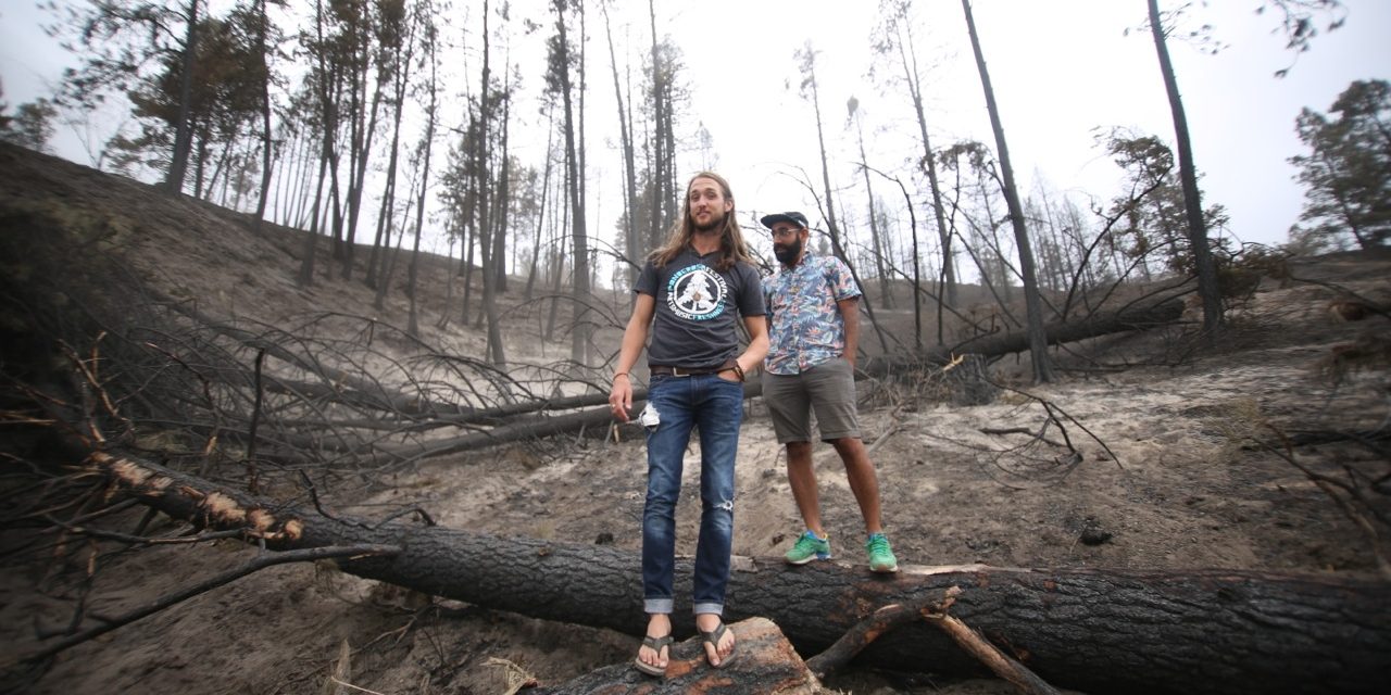 Ponderosa Music and Arts Festival returns to Rock Creek one year after wildfires cancelled last year’s event