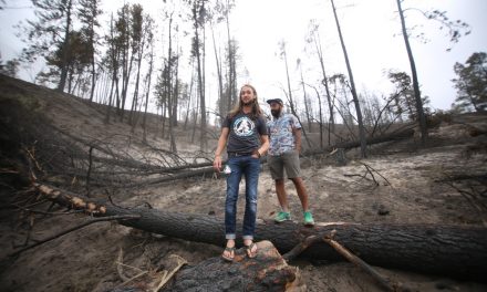 Ponderosa Music and Arts Festival returns to Rock Creek one year after wildfires cancelled last year’s event