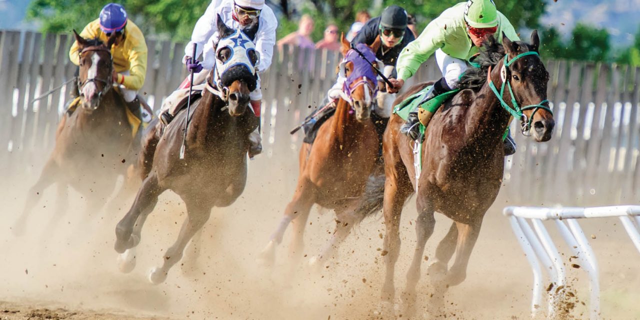 Six horse races planned for this  Saturday’s event at Desert Park