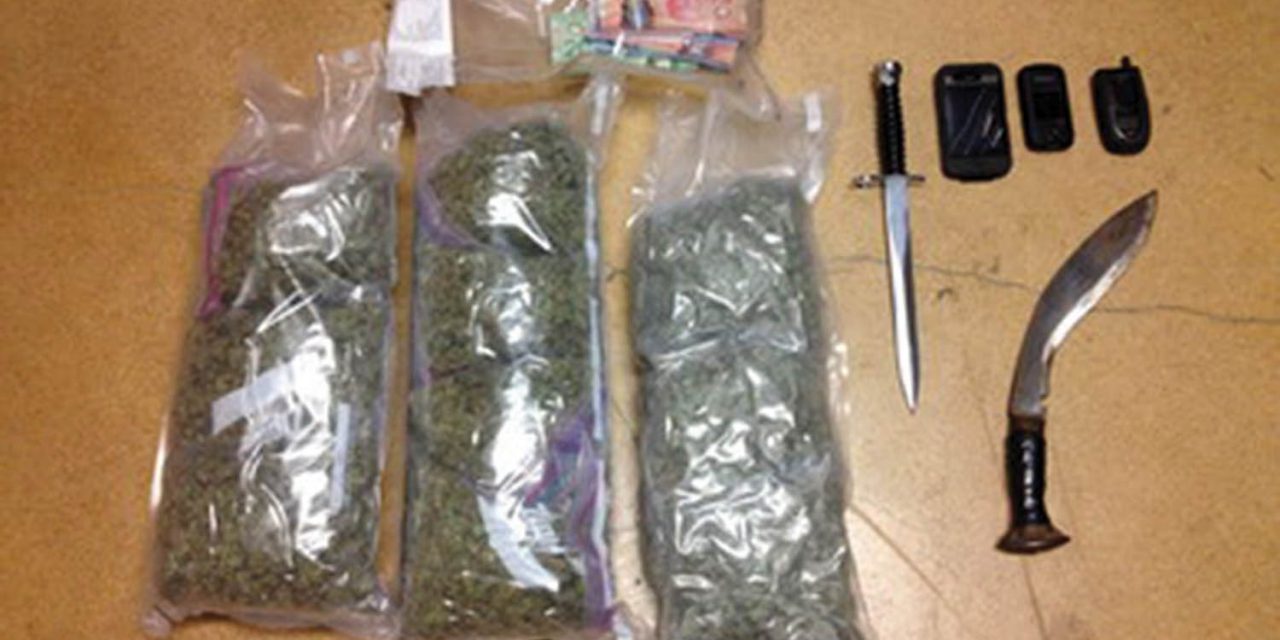 RCMP seize 200 pot plants in traffic stop drug busts with help of dog