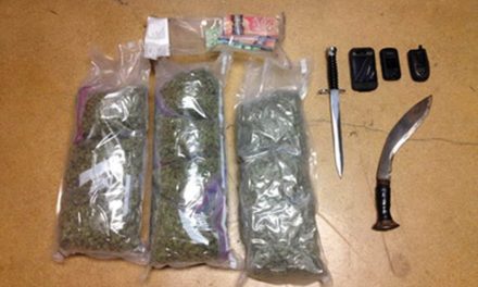 RCMP seize 200 pot plants in traffic stop drug busts with help of dog