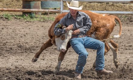 Oliver horsewoman recruited by BC squad