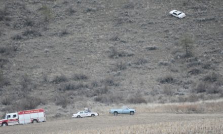 ‘Wild goose chase’ ends in abandoned vehicle