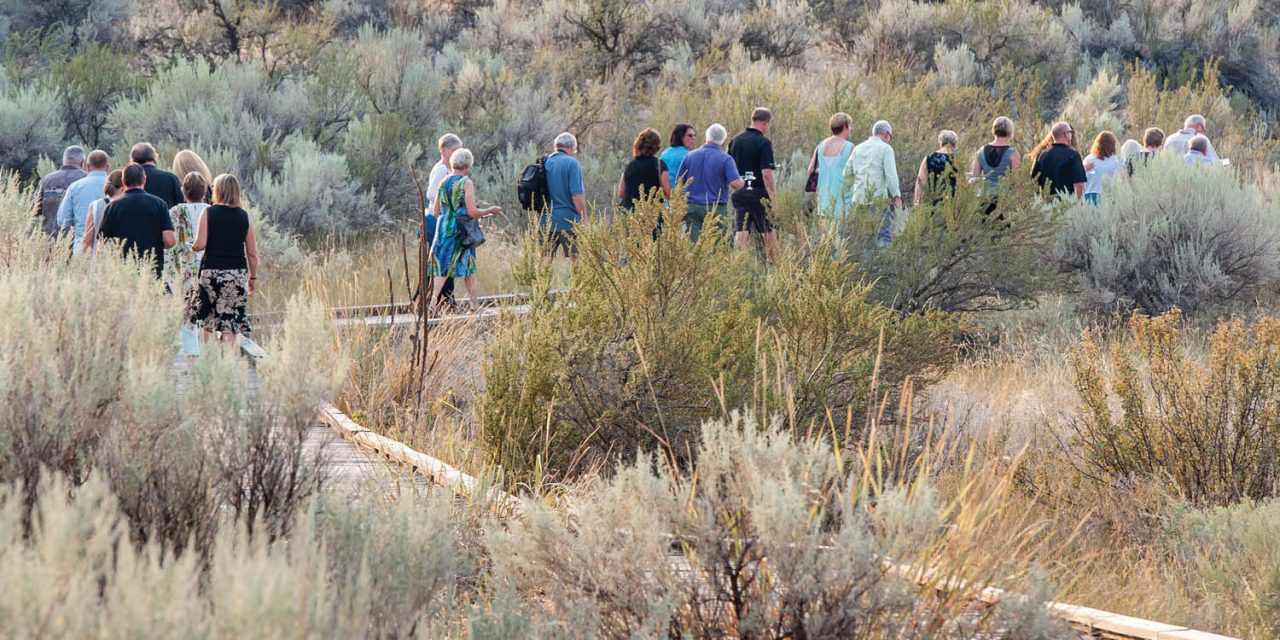 Desert Society mia culpa on treated wood disposal