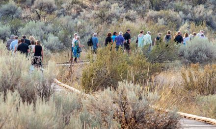 Desert society’s winter program returns soon with new films and guest speakers