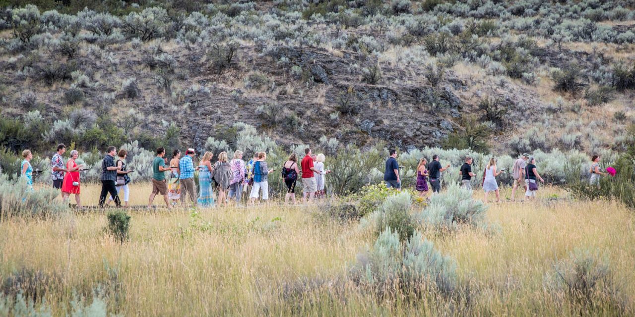 Council hears future looks very bright for Osoyoos Desert Society after great 2016