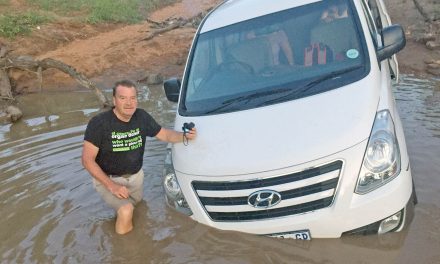 Stuck in water at nightfall in lion country – Osoyoos Rotarians have wild adventures on visit to South African development project