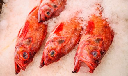 Recreational Sockeye fishery opening on Osoyoos Lake expected at end of month