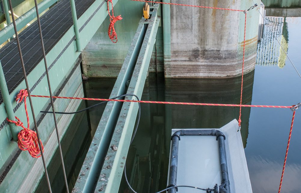 New antenna will help to track tags on fish migrating into Osoyoos Lake