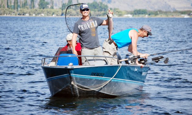 BC freshwater fishing licences go WILD
