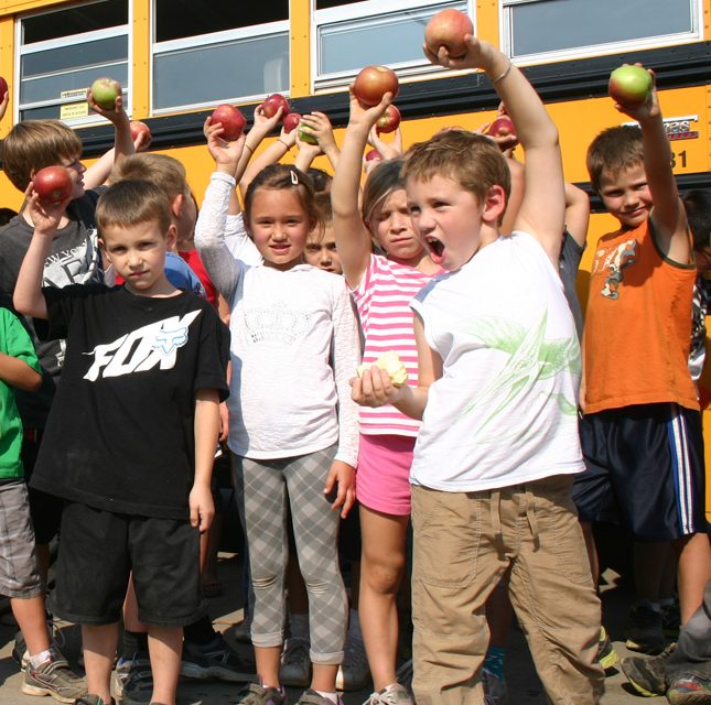 Teachers’ low-level job action begins Wednesday