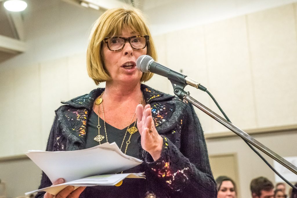 Martha Collins argued that there has recently been a baby boom and this should result in future enrolment increases. She suggested that waiting until the results of the 2016 census would confirm this trend. (Richard McGuire photo)