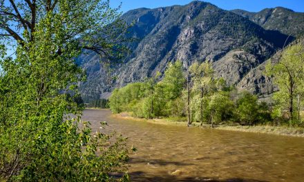Reader urges feds to restore navigable waters protection
