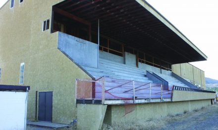 PRICE TAG OF STRUCTURAL REVIEW FOR DESERT PARK GRANDSTANDS INCREASES BY $10,000