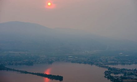 Wildfire smoke advisory in effect as fires burn on both sides of the border