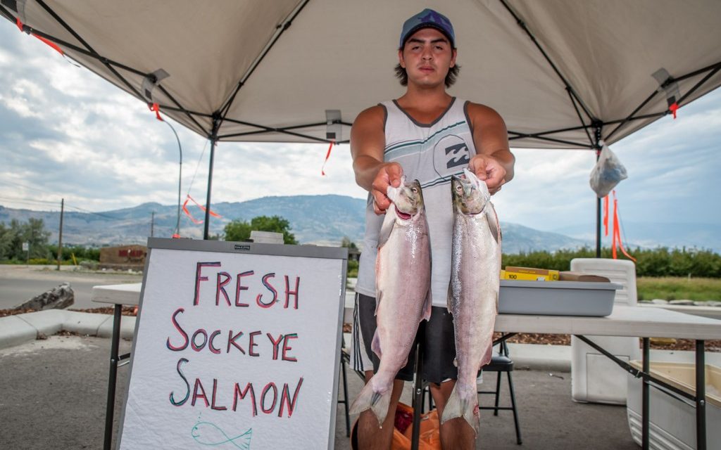Syilx/Okanagan diet quality positively impacted by increased food sovereignty, says study