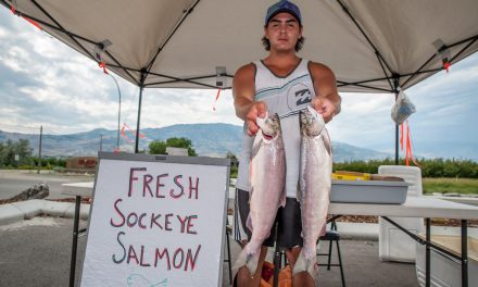 Nk’Mip sells sockeye salmon fresh from the boat