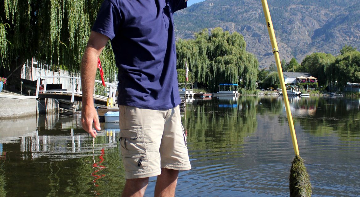MANY RESIDENTS ON SOLANA BAY ARE UPSET WITH THE INCREASING AMOUNT OF DEEP, DIRTY SLUDGE
