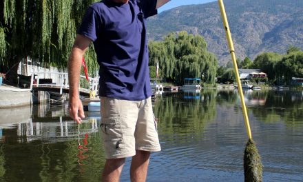 MANY RESIDENTS ON SOLANA BAY ARE UPSET WITH THE INCREASING AMOUNT OF DEEP, DIRTY SLUDGE