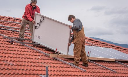 Burrowing Owl project showcases solar technology