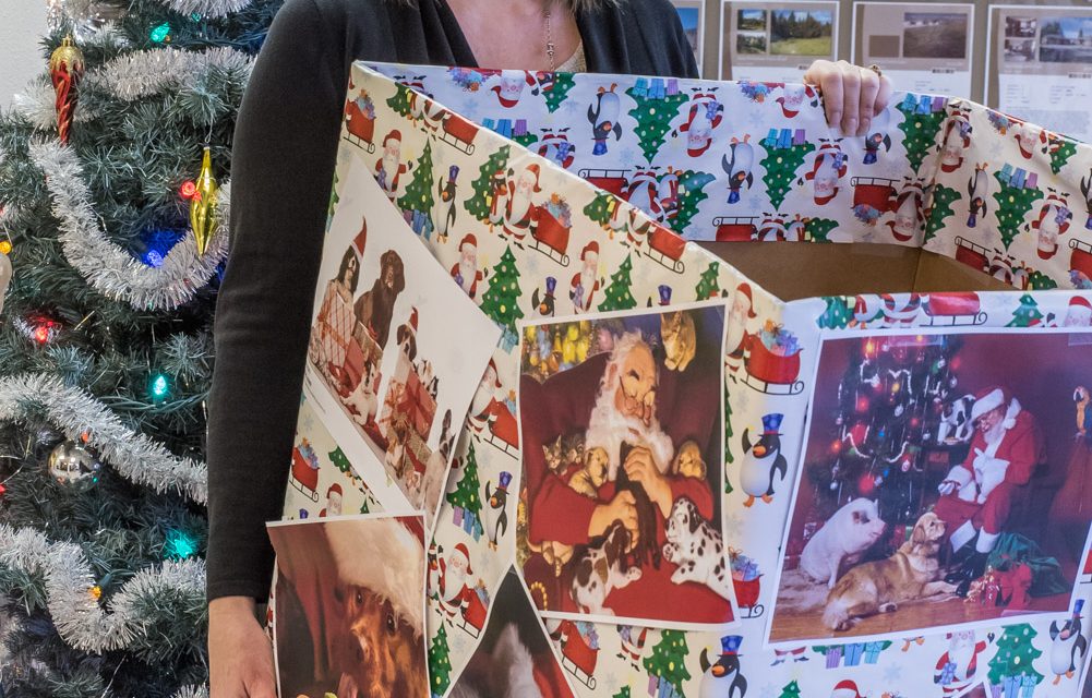 Royal LePage once again collects items for SPCA