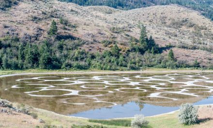 New York Times pays tribute to ‘otherworldly’ Spotted Lake