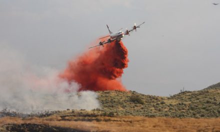 WILDFIRE RIPS THROUGH SPOTTED LAKE AREA