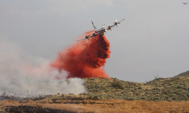 WILDFIRE RIPS THROUGH SPOTTED LAKE AREA