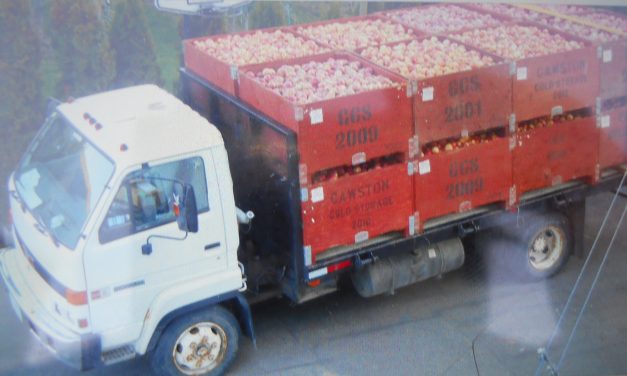 RCMP searching for stolen farm vehicle