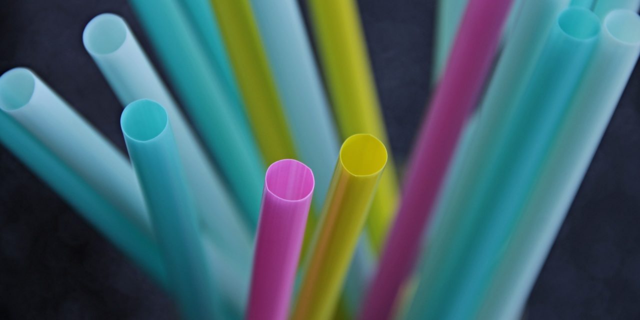 RDOS supporting provincial  ban on single-use plastics