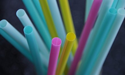 RDOS supporting provincial  ban on single-use plastics