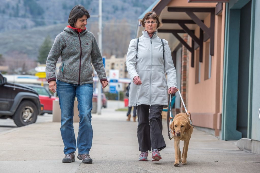 Sue Terada walks with her new guide dog, Button, while Jenny Meyer, a guide dog mobility instructor, looks on. Button will give Terada a degree of independence she hasn't had since she had her previous dog, Pinta. (Richard McGuire photo)