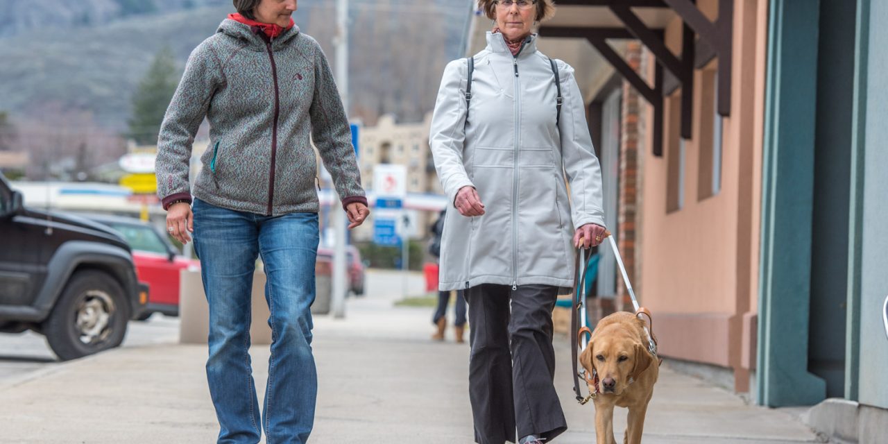 New guide dog gives independence back to woman