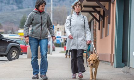 New guide dog gives independence back to woman