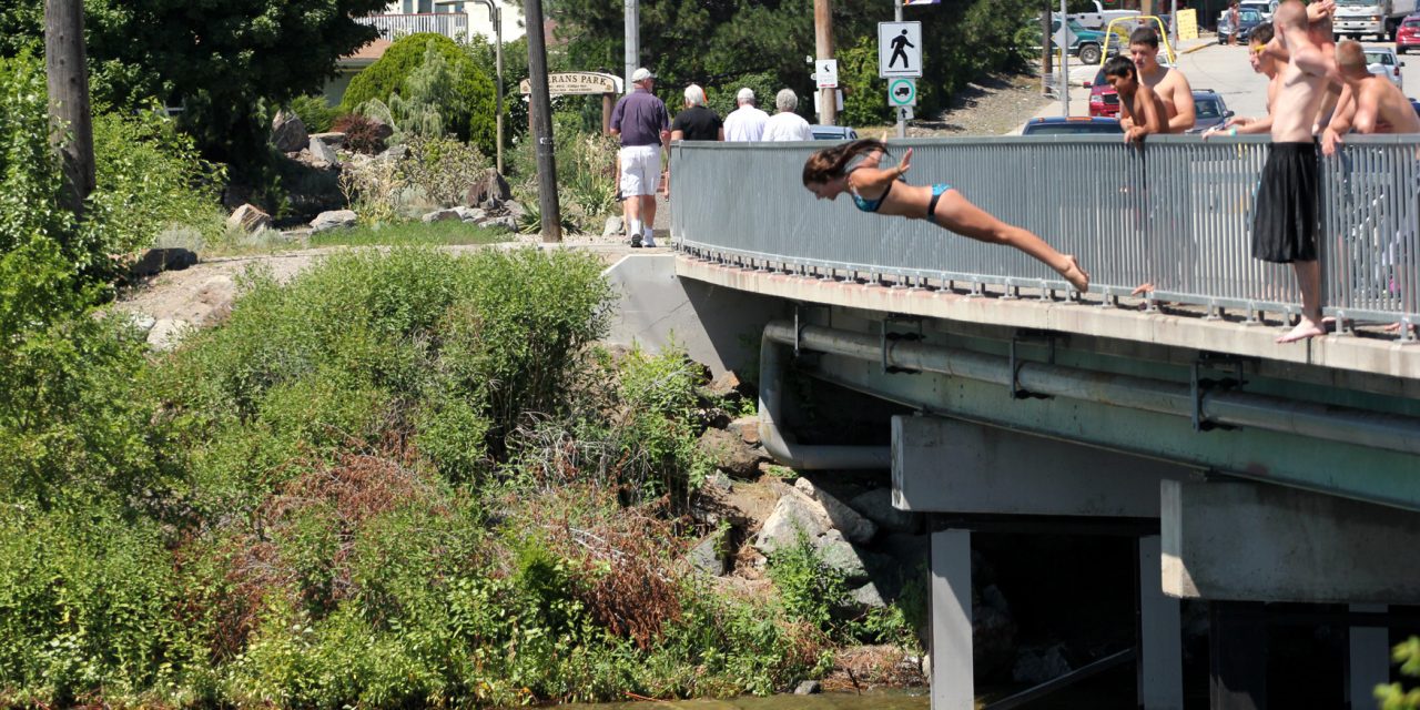 LOCAL GRANDMOTHER WORRIED YOUNGSTERS JUMPING OFF BRIDGE IS GOING TO RESULT IN TRAGEDY