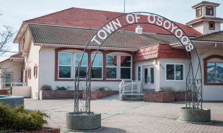 Water councillor byelection this fall